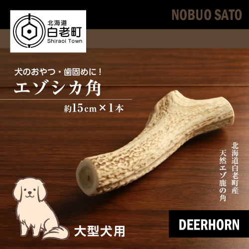 犬のおやつ・歯固めに！エゾシカ角 約15cm×1本（大型犬用） 196265 - 北海道白老町
