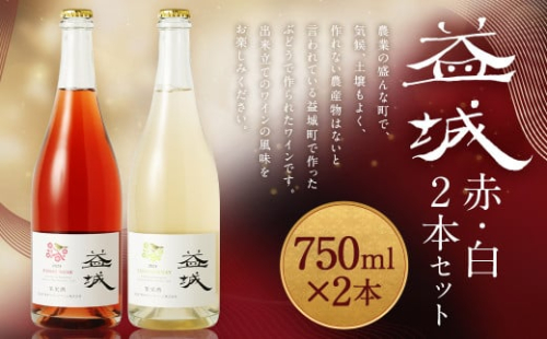 益城ワイン2本セット（赤1本・白1本）合計1,500ml（750ml×2本）ワイン 赤ワイン 白ワイン シャルドネ ピノ・ノワール 1963171 - 熊本県益城町