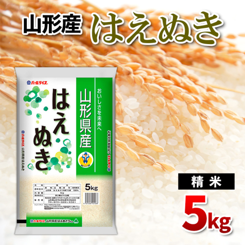 山形県産 はえぬき 精米 5kg FY24-533 1963613 - 山形県山形市