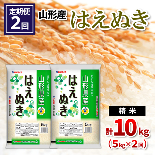 【定期便2回】山形県産 はえぬき 精米 5kg×2回(計10kg) FY24-534 1963614 - 山形県山形市