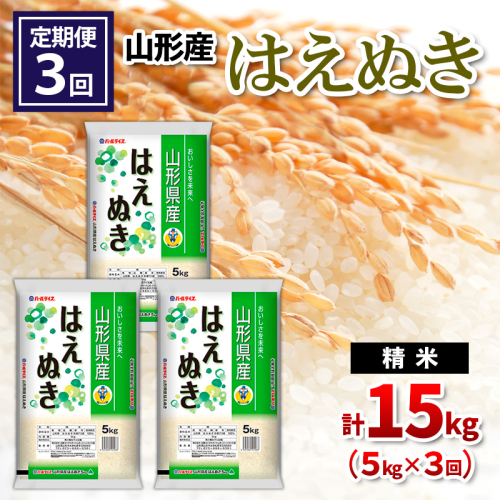 【定期便3回】山形県産 はえぬき 精米 5kg×3回(計15kg) FY24-535 1963616 - 山形県山形市