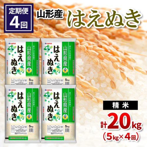 【定期便4回】山形県産 はえぬき 精米 5kg×4回(計20kg) FY24-536 1963617 - 山形県山形市