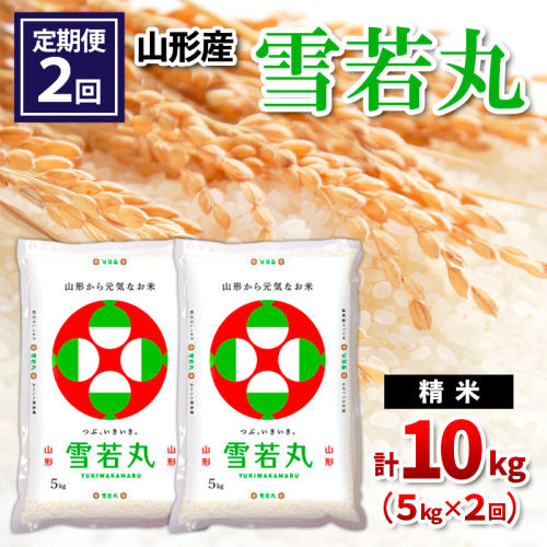 【定期便2回】山形県産 雪若丸 精米 5kg×2回(計10kg) FY24-538 1963619 - 山形県山形市