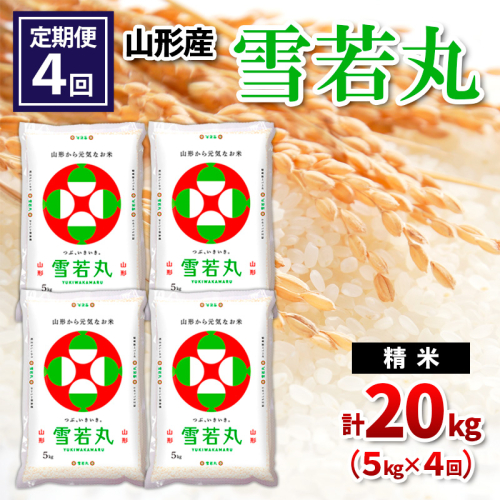 【定期便4回】山形県産 雪若丸 精米 5kg×4回(計20kg) FY24-540 1963621 - 山形県山形市