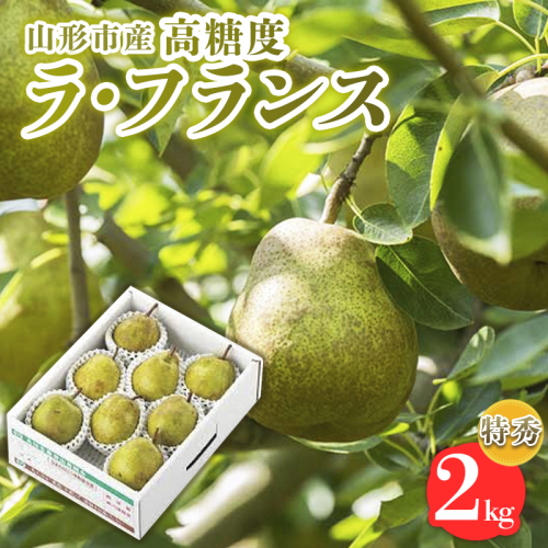 山形市産【高糖度ラフランス】特秀品 2kg (5～8玉) 極上フルーツ  洋梨 山形 【令和7年産先行予約】FS24-820 1963754 - 山形県山形市