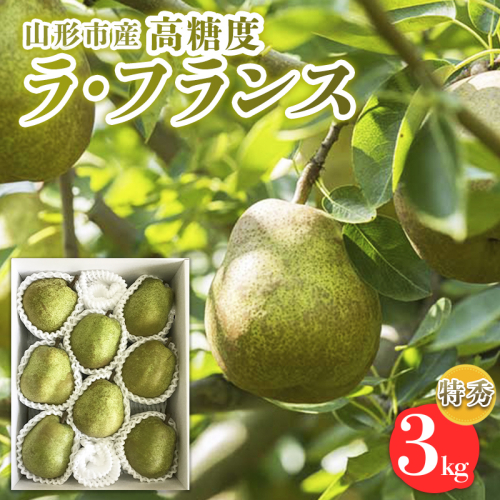 山形市産【高糖度ラフランス】特秀品 3kg (6～10玉) 極上フルーツ  洋梨 山形 【令和7年産先行予約】FS24-821 1963763 - 山形県山形市