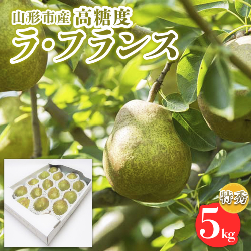 山形市産【高糖度ラフランス】特秀品 5kg (10～18玉)  極上フルーツ  洋梨 山形 【令和7年産先行予約】FS24-822 1963765 - 山形県山形市