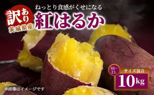 【訳あり】生芋10kg　SSサイズ～2Lサイズ（サイズバラ） ※離島への配送不可 ※2025年12月下旬頃より順次発送予定