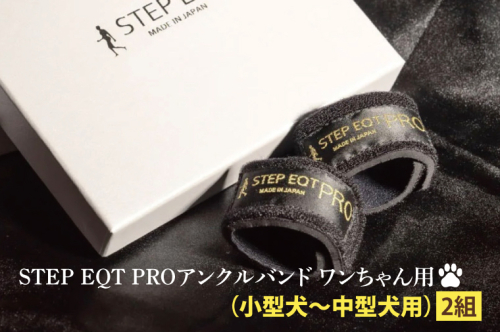 アンクルバンド ワンちゃん用（小型犬〜中型犬用） 2本組 STEP EQT PRO 転倒防止 サポート ハンドメイド 手作り 1963995 - 茨城県大洗町