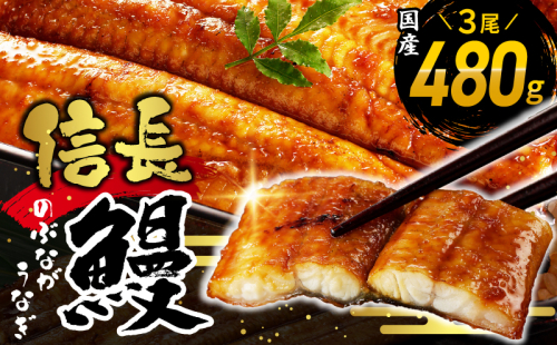 【数量限定】国産 信長鰻 160g×3尾【大サイズ 合計480g 蒲焼き 無頭 うなぎ 鰻 ウナギ ひつまぶし タレ 冷凍】 015B360 1964023 - 大阪府泉佐野市