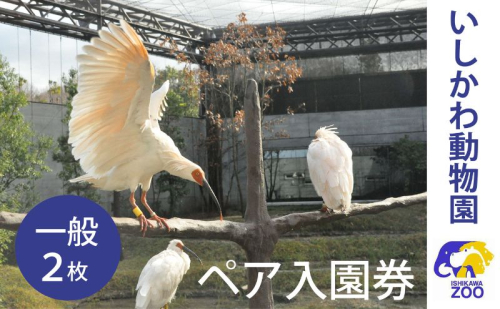 チケット いしかわ動物園ペア入園券（一般）石川県 能美市 1964030 - 石川県能美市