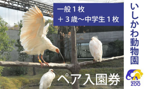 チケット いしかわ動物園ペア入園券（一般＋3歳以上中学生以下）石川県 能美市 1964031 - 石川県能美市