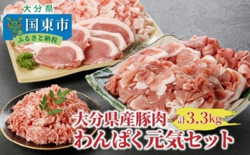 大分県産豚わんぱく元気セット2.6kg_1827R 196465 - 大分県国東市