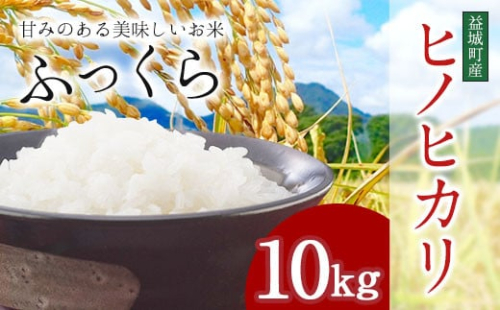 令和6年度産 熊本 益城町産 ヒノヒカリ 10kg お米 1965607 - 熊本県益城町