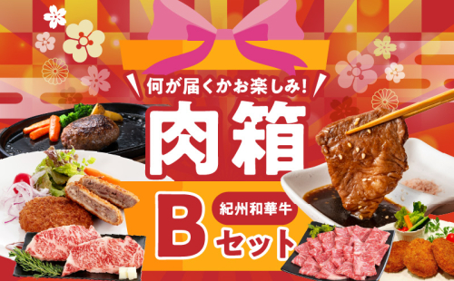 BN6136_お楽しみ肉箱 Bセット お試し ドキドキ 黒毛和牛 ハンバーグ メンチカツ ステーキ ロース ヒレ 焼肉 すき焼き しゃぶしゃぶ 盛り合わせ コロッケ ローストビーフ 食品 和歌山県 湯浅町 送料無料  1965817 - 和歌山県湯浅町