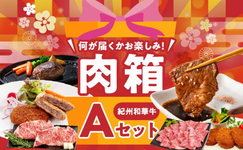 BN6134_お楽しみ肉箱 Aセット お試し ドキドキ 黒毛和牛 ハンバーグ メンチカツ ステーキ ロース ヒレ 焼肉 すき焼き しゃぶしゃぶ 盛り合わせ コロッケ ローストビーフ 食品 和歌山県 湯浅町 送料無料 1965818 - 和歌山県湯浅町