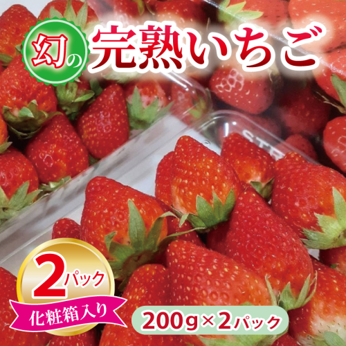 【特別規格】朝摘み完熟いちご 2パック【化粧箱入り 200g×2P 苺 イチゴ フルーツ 果物】 005A359 1965820 - 大阪府泉佐野市