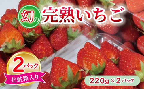 【特別規格】朝摘み完熟いちご 2パック【化粧箱入り 220g×2P 苺 イチゴ フルーツ 果物】 G1631 1965820 - 大阪府泉佐野市