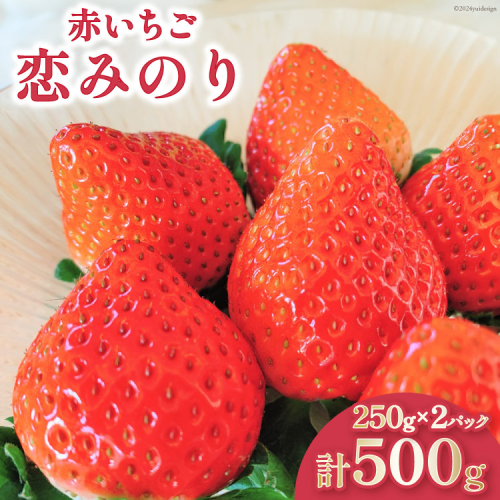 【好評により受付再開】 いちご 赤いちご 恋みのり 250g×2パック [トトノウ 長崎県 雲仙市 item1414] 苺 イチゴ クリスマス フルーツ 果物 くだもの 期間限定 季節限定 1965828 - 長崎県雲仙市