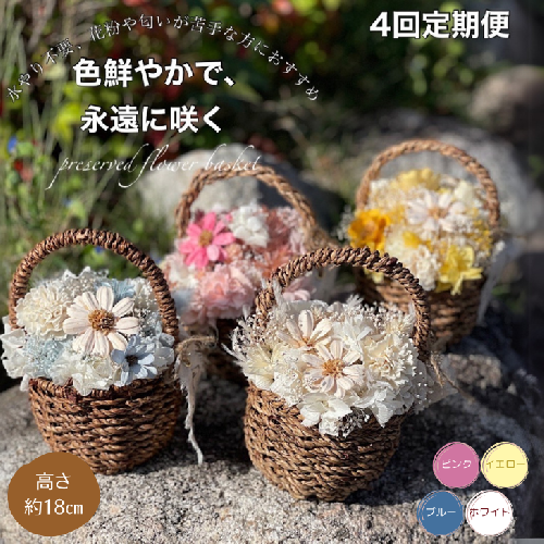 【4回定期便】ドライフラワーバスケットアレンジ:B865-003 1966680 - 佐賀県佐賀市