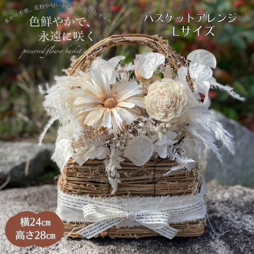 ドライフラワーバスケットアレンジ Lサイズ：B495-001 1966686 - 佐賀県佐賀市