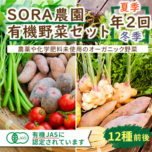 SORA農園有機野菜セット年2回（夏季・冬季）お届け 1966697 - 京都府京丹後市