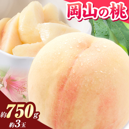 【令和7年度出荷】桃 岡山の桃 約750g 《2025年6月下旬-9月上旬頃出荷》 ご家庭用 訳あり 白桃 岡山 はくとう スイーツ フルーツ 果物 デザート 旬 モモ もも 先行予約 送料無料 果物 岡山県 笠岡市 清水白桃 白鳳 白麗 クール便 1966722 - 岡山県笠岡市