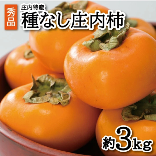 SZ0237　酒田の秋の味覚　あまくて美味しい庄内柿(種なし柿) 秀品　約3kg(18玉以上) 196704 - 山形県酒田市