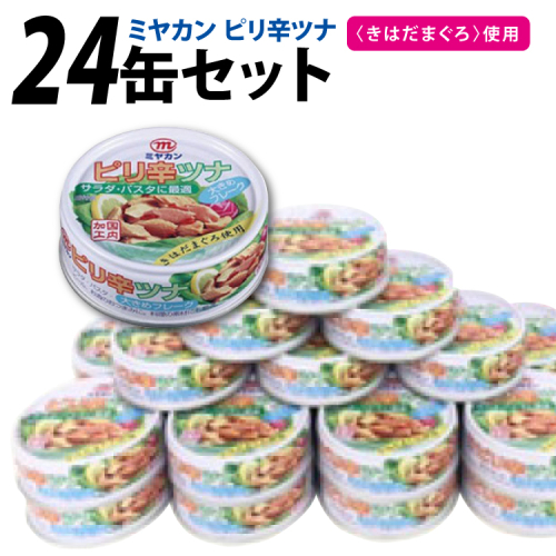 缶詰 ピリ辛ツナ 75g ×24缶 [ミヤカン 宮城県 気仙沼市 20565674] ツナ缶 ツナフレーク キハダマグロ ピリ辛 小分け 常備 ストック 長期保存 196740 - 宮城県気仙沼市