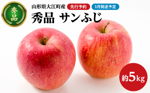《先行受付》【2026年3月発送予定】 サンふじ約5kg・秀品【大江町産・山形りんご・大地農産】 【028-034】 1967459 - 山形県大江町