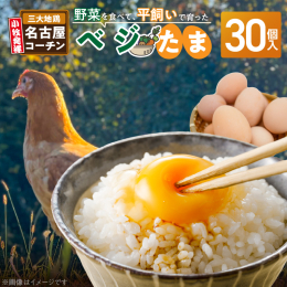 【説明】 【桃花台スマイルクリニック 理事長 梅田貴之 監修】 抗生物質、薬剤、着色料不使用。緑に囲まれた飼育環境の中、平飼いでのびのびと育った貴重な名古屋コーチンの卵です。野菜や草をたっぷりと与え、