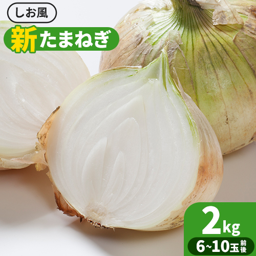 新玉ねぎ【2025年先行予約】 しお風新たまねぎ 約2kg 《5月中旬-5月末頃出荷》 玉ねぎ 新たまねぎ 玉葱 たまねぎ 新玉 野菜 青果物 岡山県 笠岡市 1970316 - 岡山県笠岡市