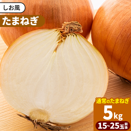 たまねぎ【2025年先行予約分】しお風たまねぎ 約5kg《2025年6月上旬-6月末頃出荷》 玉ねぎ たまねぎ 野菜 青果物 岡山県 笠岡市 玉ねぎ 5kg 1970319 - 岡山県笠岡市