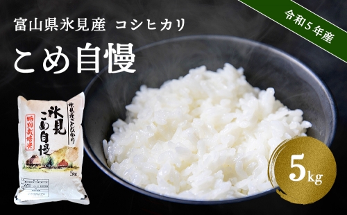 令和5年産富山県産特別栽培米コシヒカリ《こめ自慢》5kg 197092 - 富山県氷見市