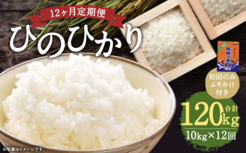 【12回定期便】ひのひかり 10kg (初回 ご飯の友 付き) 計120kg 熊本 米 ふりかけ 御飯の友 1971554 - 熊本県益城町