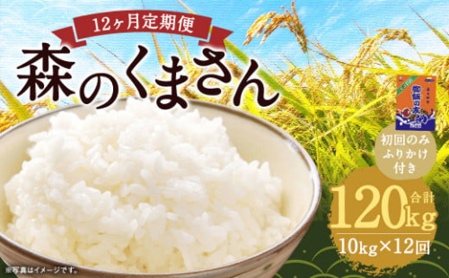 【12回定期便】森のくまさん 10kg (初回 ご飯の友 付き) 計120kg 熊本 米 ふりかけ 御飯の友 1971606 - 熊本県益城町