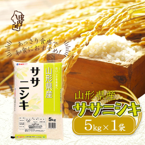 山形県産ササニシキ 5kg 令和6年産 2024年産【046-008A】 1971838 - 山形県庄内町