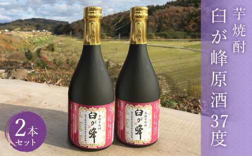 芋焼酎 臼が峰原酒（37度）2本セット 197188 - 富山県氷見市