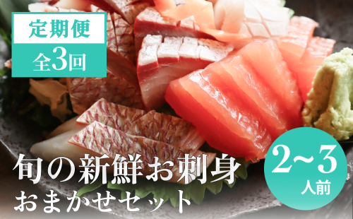 【３回 定期便】 氷見漁港朝どれ！旬の新鮮鮮魚おまかせセット 2,3人前（３月・６月・１１月） 197194 - 富山県氷見市