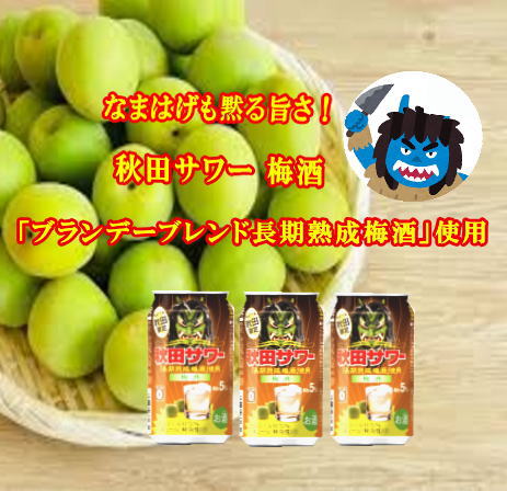ご当地サワー！秋田サワー「梅酒」12本入り ふるさと納税 秋田県 秋田サワー 梅酒 梅 酒【小川忠太郎商店】[B5210] 1971957 - 秋田県湯沢市