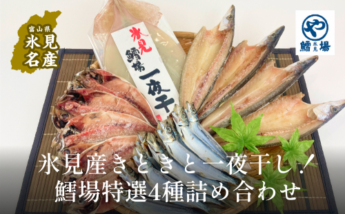 きときと特選一夜干し4種詰合せ《かます・あじ・いわし・するめいか》 197230 - 富山県氷見市