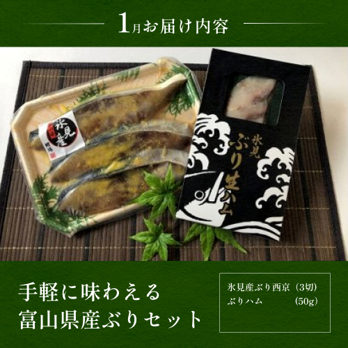 3回定期便 富山湾の旬を食す 氷見ぶり 白えび ほたるいか 1 3 5月発送 定期便 魚貝類 干物 加工食品 魚介類 ぶり 白えび ほたるいか 富山県氷見市 Au Pay ふるさと納税