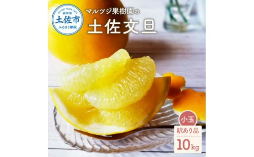 マルツジ果樹園の土佐文旦 訳あり品(小玉) 約10キロ 10kg M～Lサイズ 24～34個入り 1972509 - 高知県土佐市