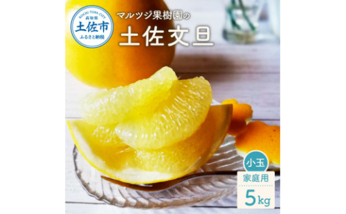 マルツジ果樹園の土佐文旦 家庭用(小玉) 約5kg 5キロ M～Lサイズ 12～17個入り 1972510 - 高知県土佐市