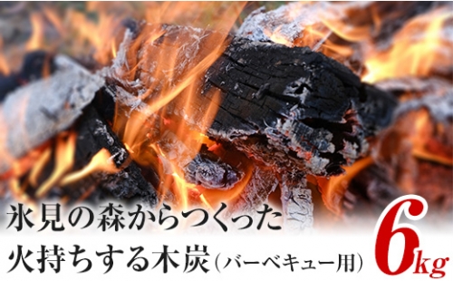 氷見の森からつくった火持ちする木炭（バーベキュー用）6kg 197268 - 富山県氷見市