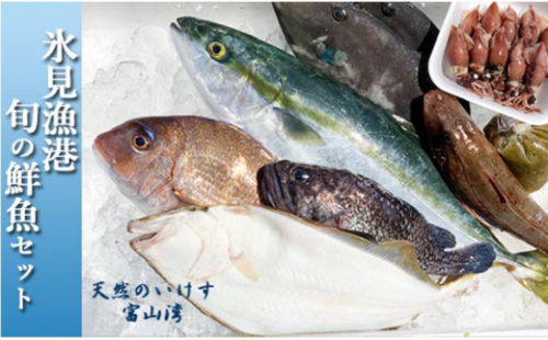 天然のいけす 富山湾 氷見漁港 旬の鮮魚セット※配送地域限定 197315 - 富山県氷見市