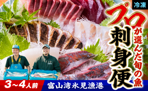 【魚問屋産地直送】氷見漁港から直送！老舗魚問屋が競り落とした魚を〈冷凍〉柵状でお届け | 刺身セット 鮮魚 詰め合わせ 富山湾 海の幸 魚介類 お魚 刺し身 さしみ 氷見漁港 柵 冷凍 瞬間凍結 197333 - 富山県氷見市