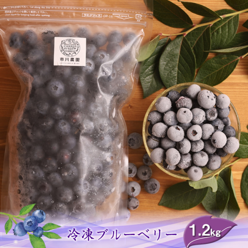 【先行予約】冷凍ブルーベリー1.2kg（600g×2パック）＜出荷開始：2025年8月1日～2025年8月30日＞【北海道・沖縄・離島お届け不可】【 ブルーベリー フルーツ 神奈川県 海老名市 】 1973541 - 神奈川県海老名市