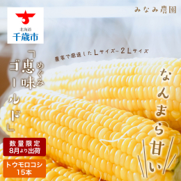 【発送についてのご確認をご一読ください】 ■商品説明 とうもろこしといえば北海道！北海道千歳市にあるみなみ農園の人気商品「恵味ゴールド」15本セットの先行予約を承ります！サイズも農家で厳選したLサイズ