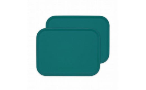 カラフルピノトレー L 39cm ターコイズブルー 2枚組 タツクラフト 【Tk61】 1974414 - 和歌山県上富田町